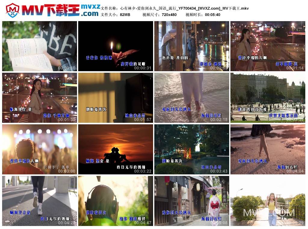 心有林夕-爱你到永久_国语_流行_YF700434